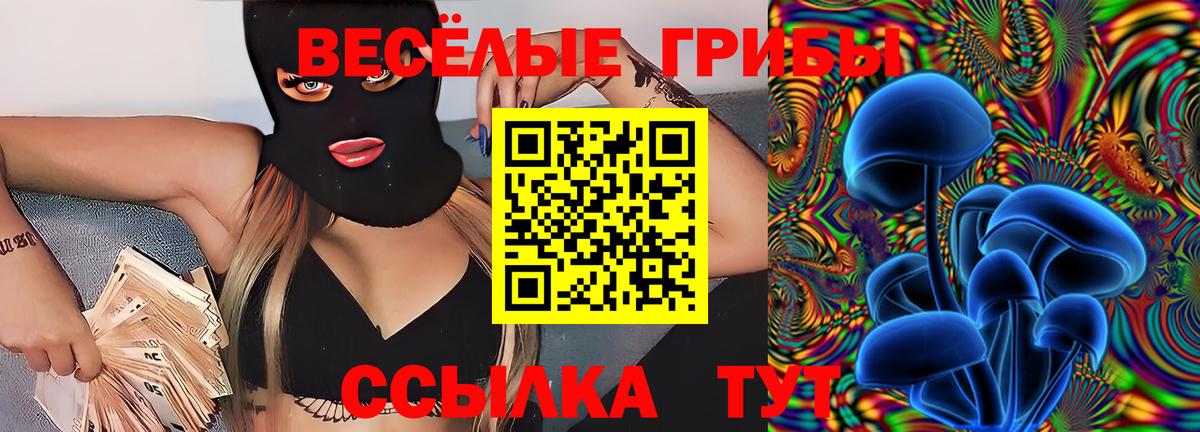 Дивногорск  Галлюциногенные грибы мухоморы  дарнет шоп  Вход с VPN 